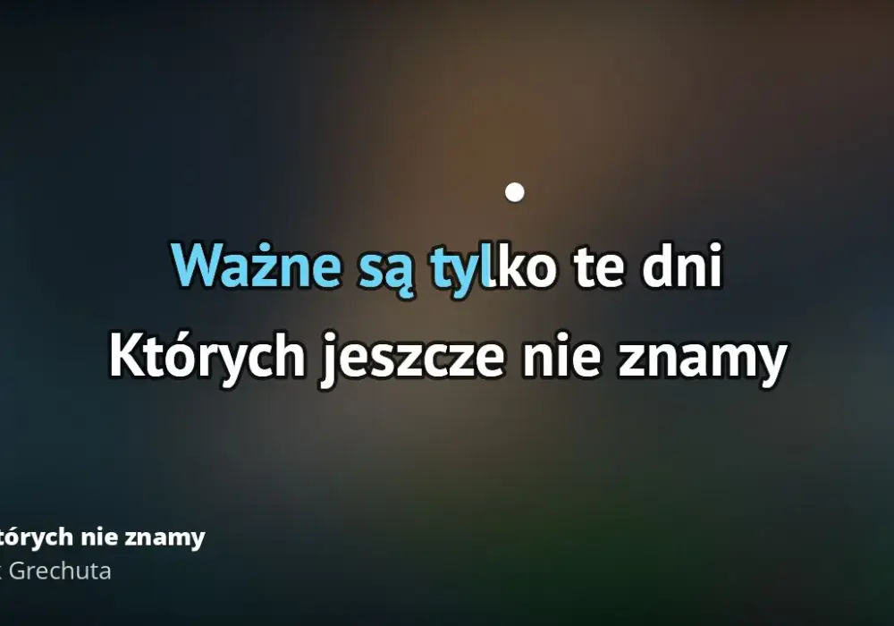 Tekst piosenki dni których nie znamy - analiza i znaczenie utworu
