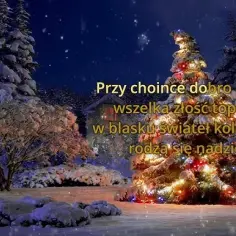 Choinko piękna jak las podkład muzyczny w wysokiej jakości MP3