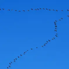 Tekst piosenki czekam na wiatr co rozgoni - analiza i znaczenie utworu