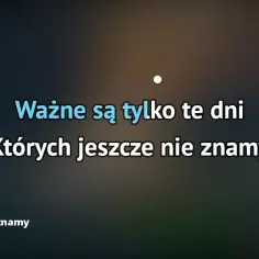 Tekst piosenki dni których nie znamy - analiza i znaczenie utworu