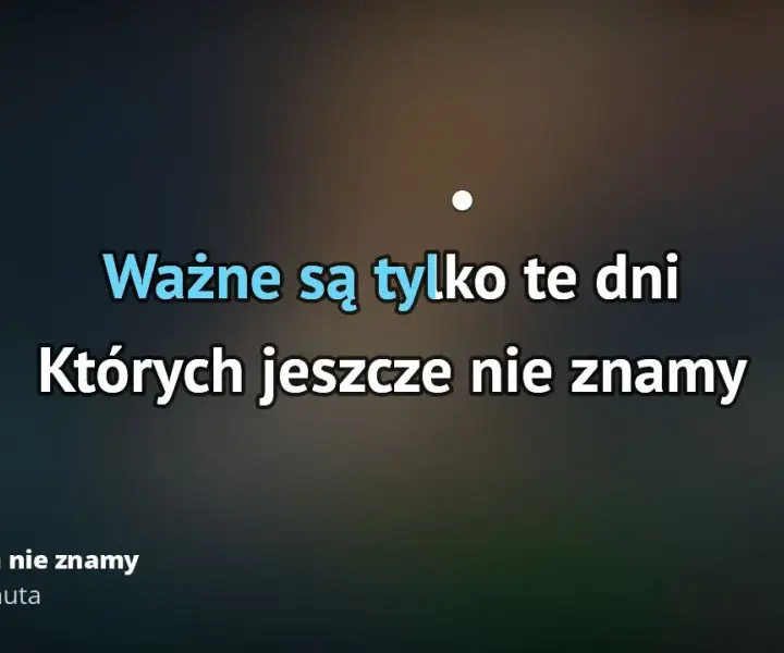Tekst piosenki dni których nie znamy - analiza i znaczenie utworu